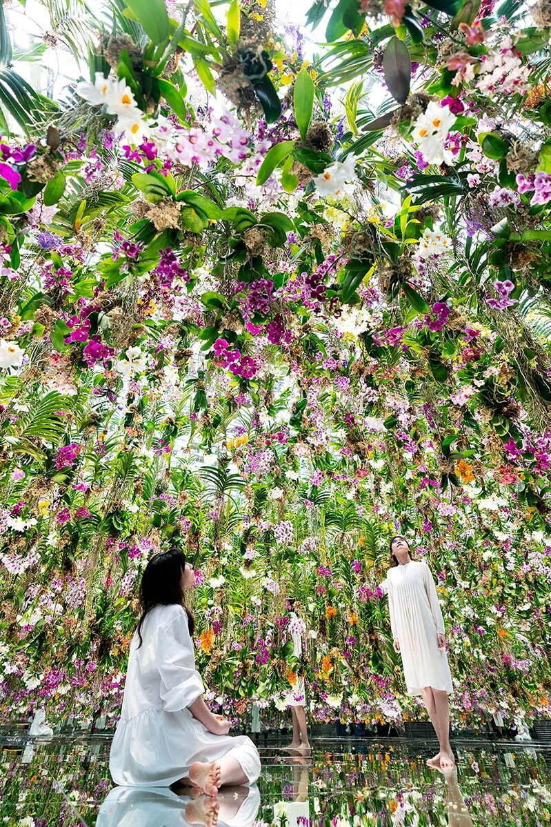 東京・豊洲「チームラボプラネッツ TOKYO DMM」13,000株のランの花に埋め尽くされる新作品｜写真15