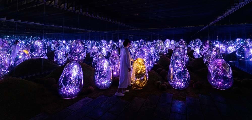 東京・豊洲「チームラボプラネッツ TOKYO DMM」13,000株のランの花に埋め尽くされる新作品｜写真28