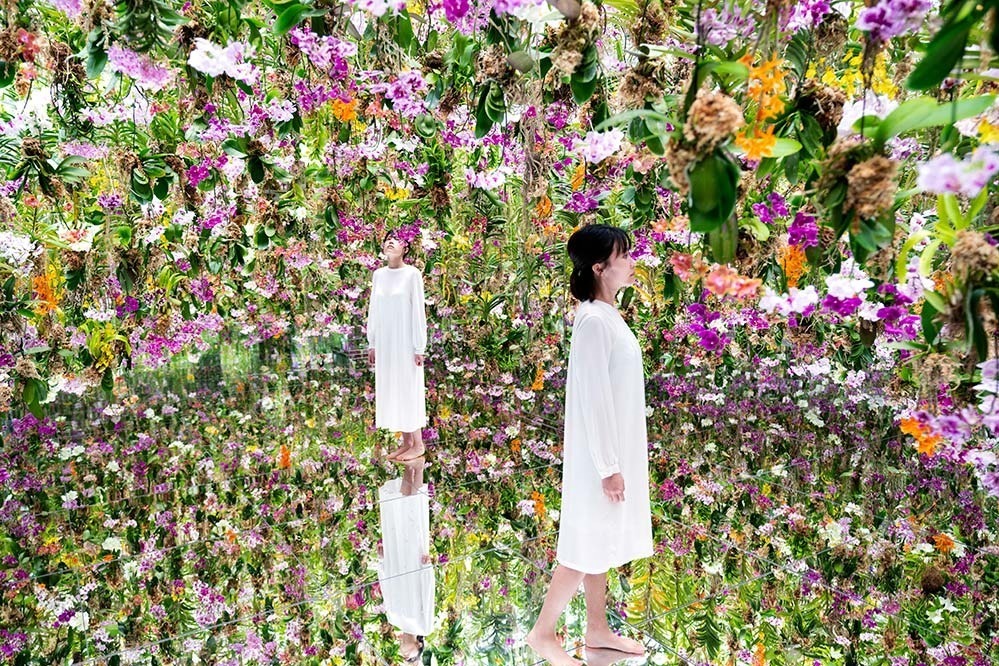 東京・豊洲「チームラボプラネッツ TOKYO DMM」13,000株のランの花に埋め尽くされる新作品｜写真6