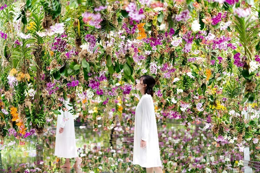 東京・豊洲「チームラボプラネッツ TOKYO DMM」13,000株のランの花に埋め尽くされる新作品｜写真14