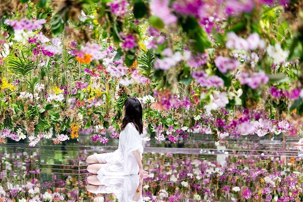 東京・豊洲「チームラボプラネッツ TOKYO DMM」13,000株のランの花に埋め尽くされる新作品｜写真11