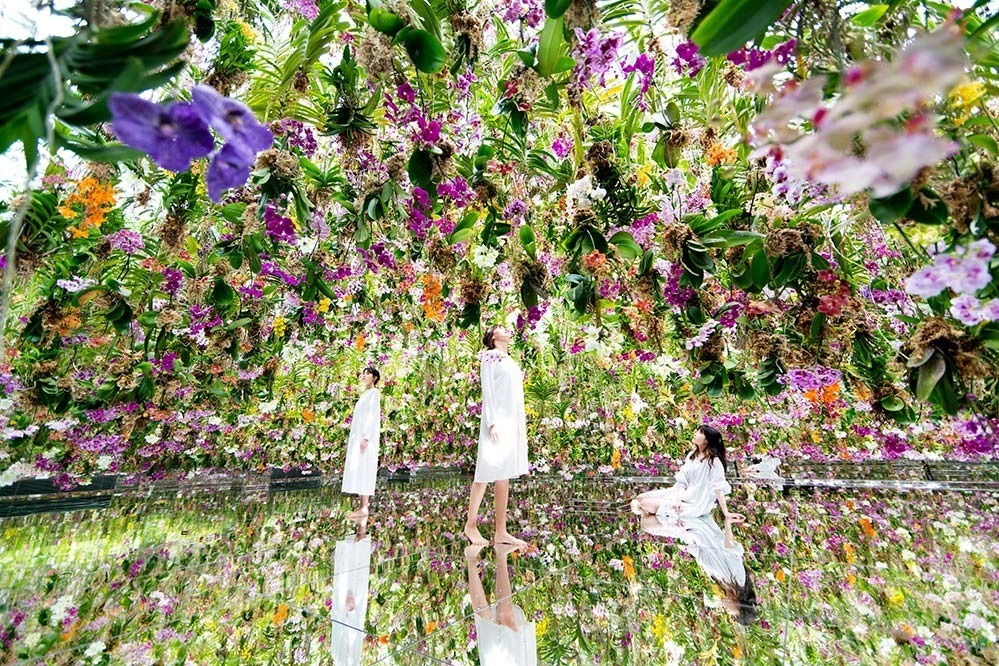 東京・豊洲「チームラボプラネッツ TOKYO DMM」13,000株のランの花に埋め尽くされる新作品｜写真12