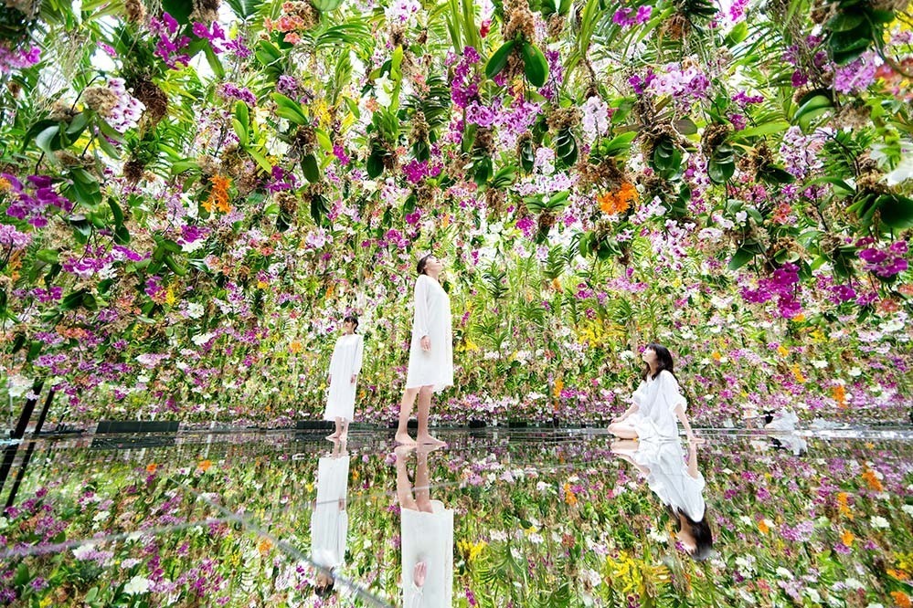 東京・豊洲「チームラボプラネッツ TOKYO DMM」13,000株のランの花に埋め尽くされる新作品｜写真16