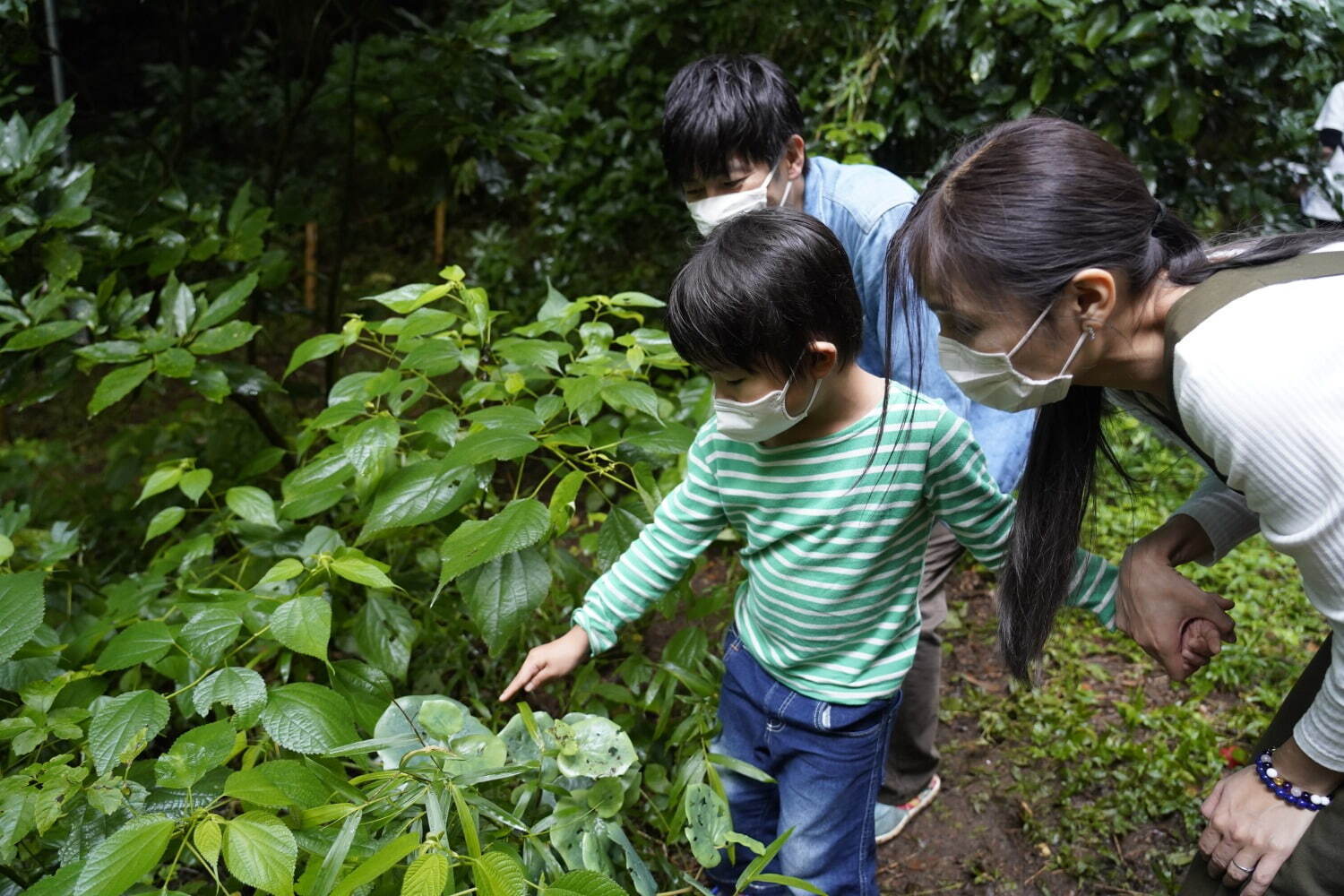 ポケモンを探す 自然アドベンチャー ポケモンワンダー よみうりランド内の森を調査隊になって探索 ファッションプレス