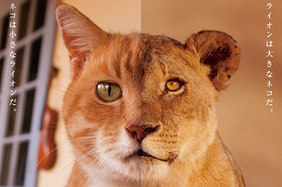 「ネコライオン」
