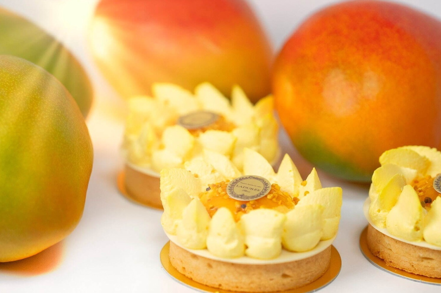 ラデュレの夏限定スイーツ、マンゴーづくしのタルトや白桃＆ババロアのケーキ