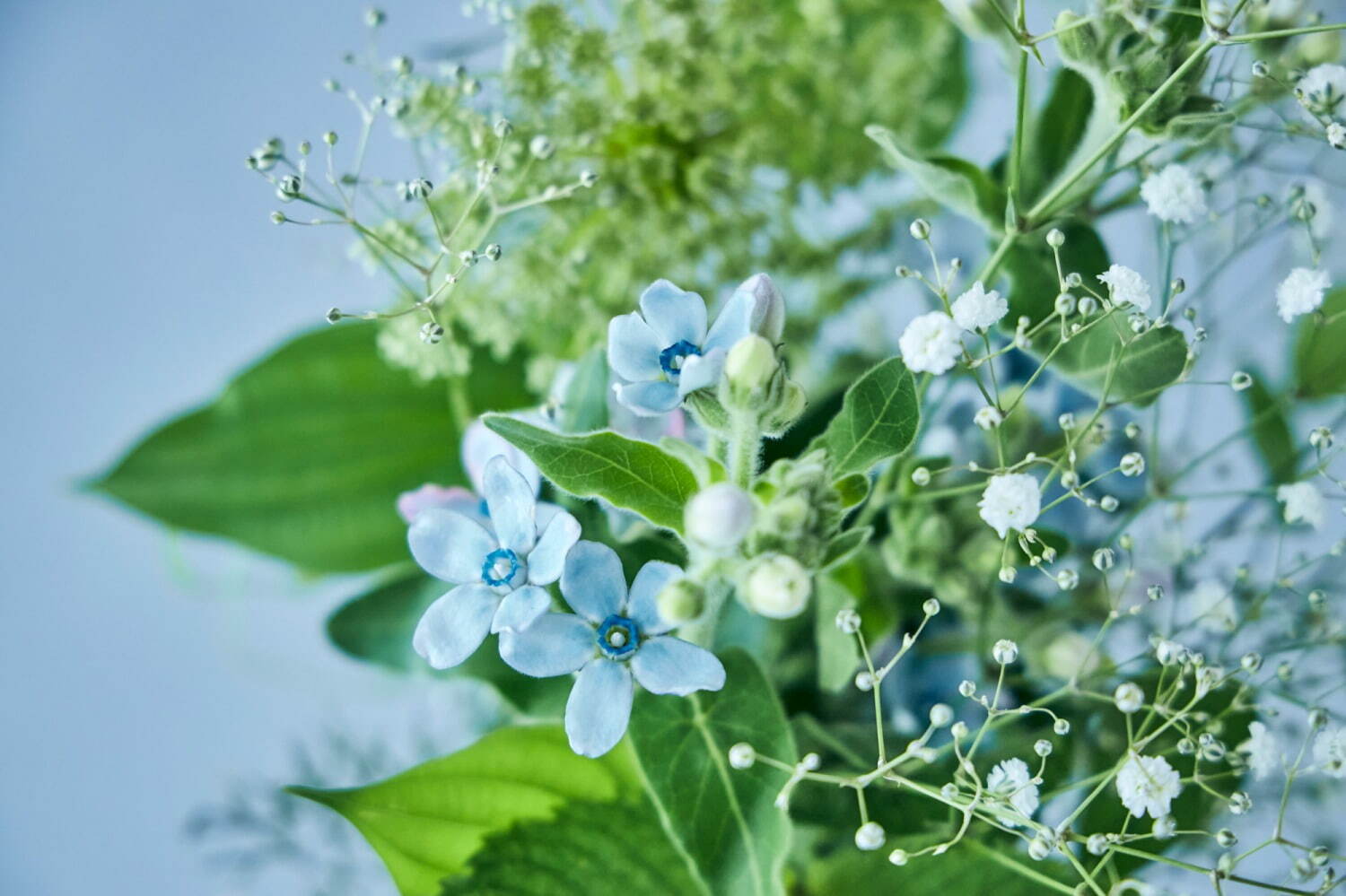 星空イメージ 七夕ブーケ 天の川のように美しいカスミソウの花束 青山フラワーマーケットから ファッションプレス