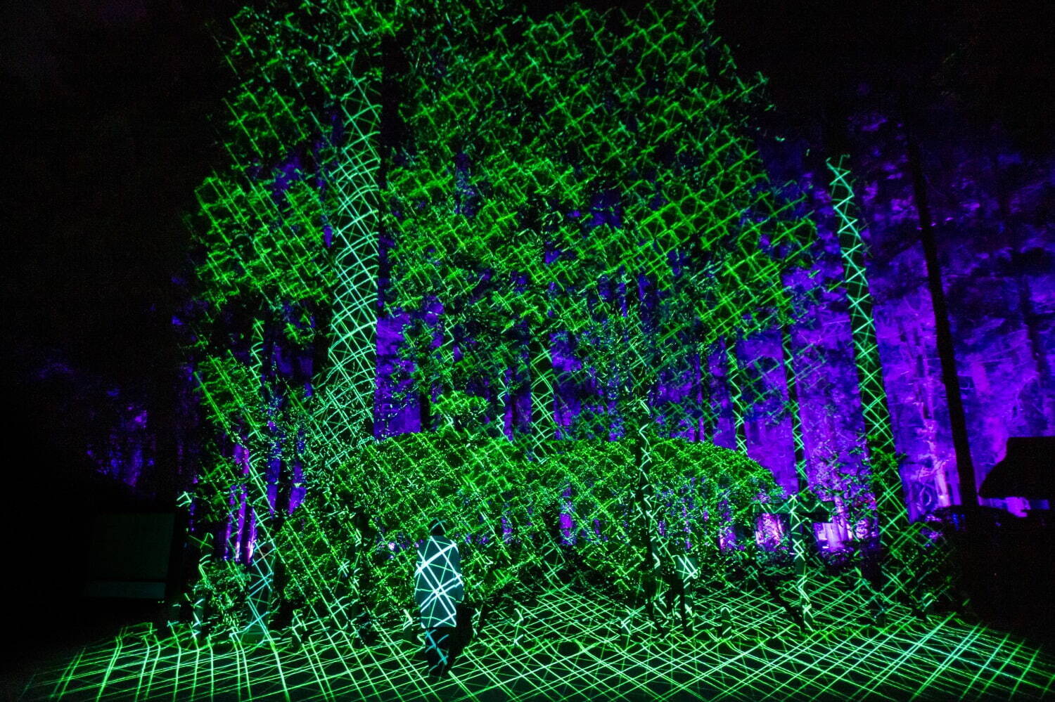 京都・東寺でチームラボ“光のアート”イベント、人と光と音が連なる幻想的空間｜写真7