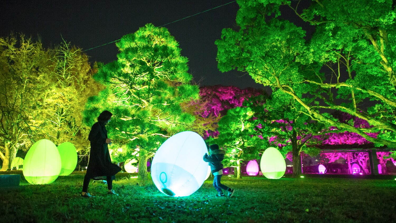 京都・東寺でチームラボ“光のアート”イベント、人と光と音が連なる幻想的空間｜写真5