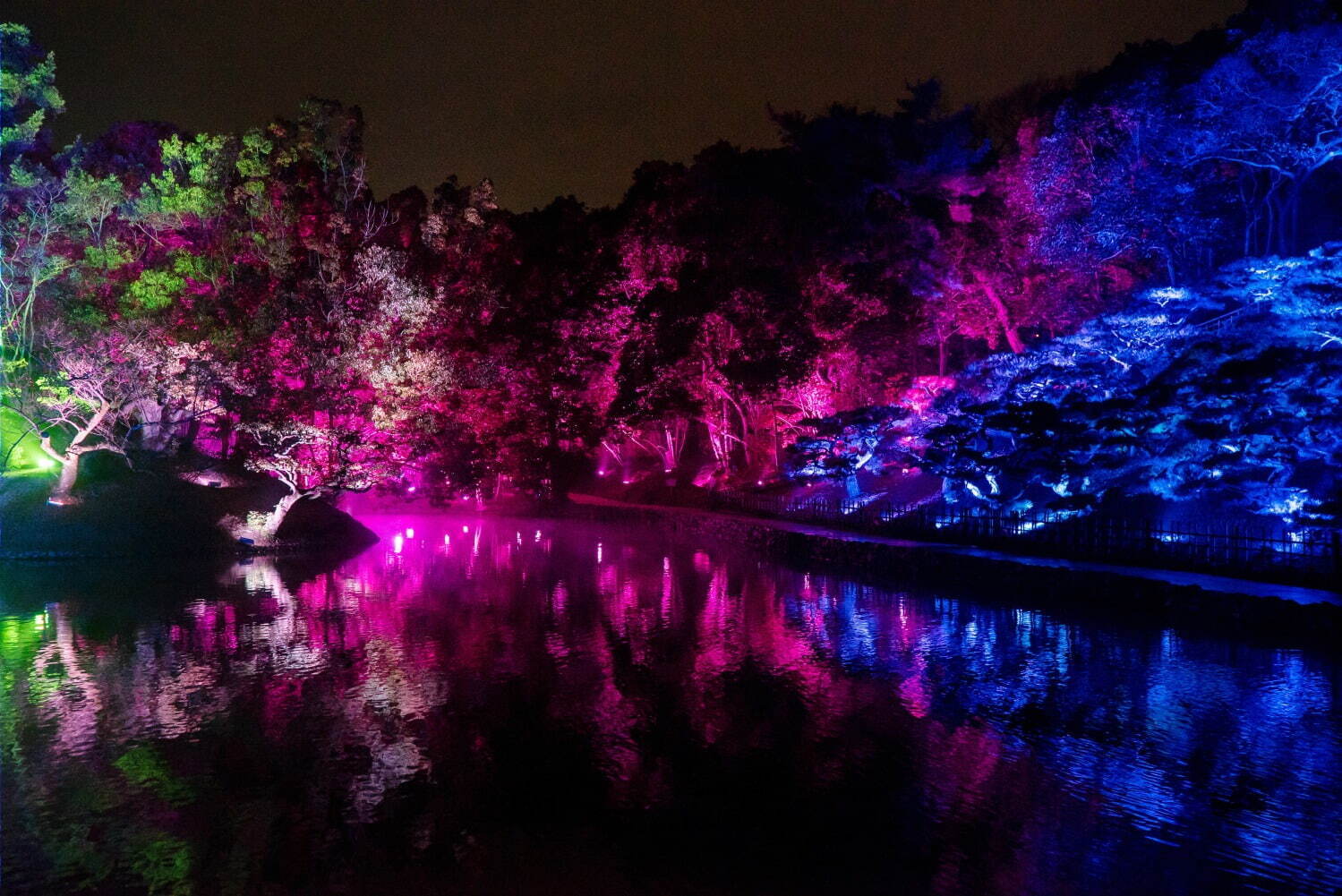 京都・東寺でチームラボ“光のアート”イベント、人と光と音が連なる幻想的空間｜写真8
