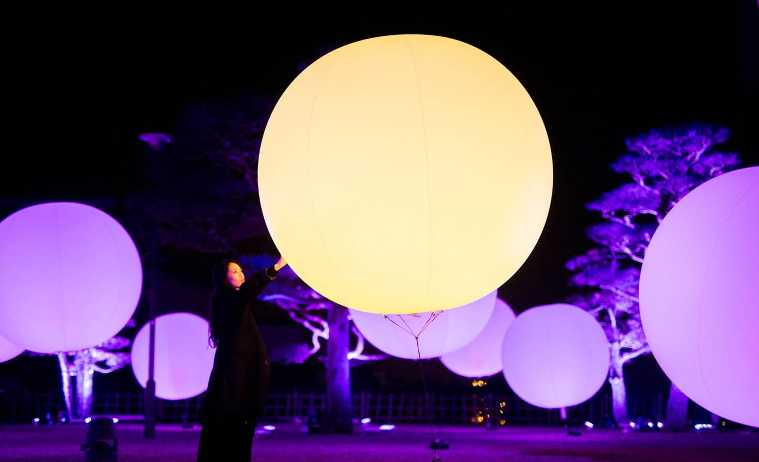 京都・東寺でチームラボ“光のアート”イベント、人と光と音が連なる幻想的空間｜写真6