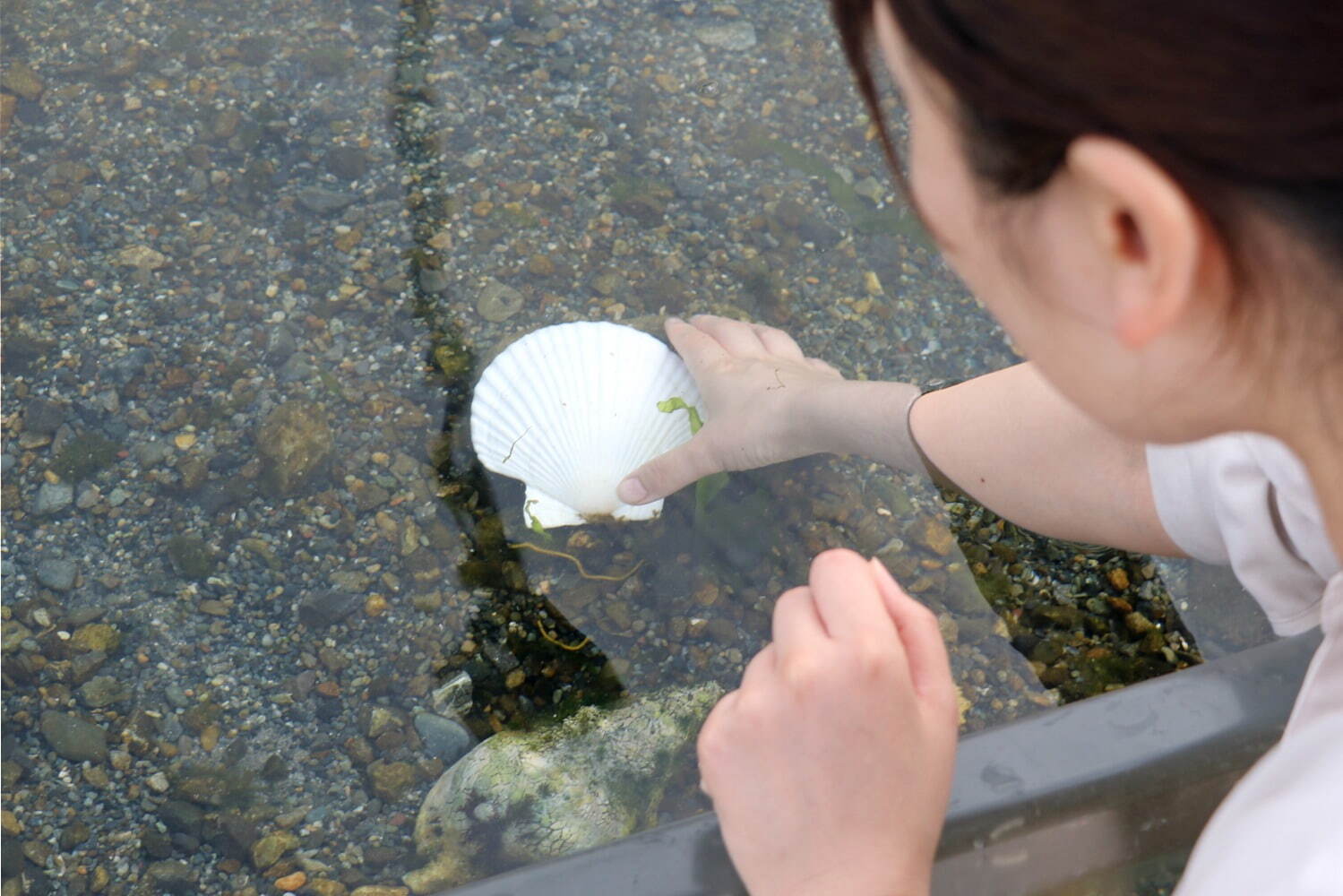 『あつまれ どうぶつの森』の世界を体感！横浜・八景島シーパラダイスのふれあいイベント、釣り大会など｜写真24