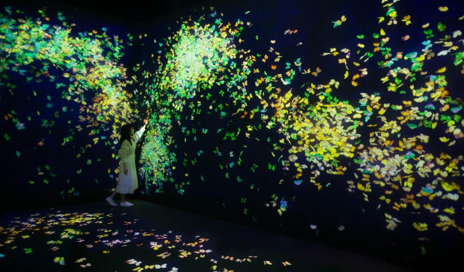 《群蝶、儚い命 - A Whole Year per Year / Flutter of Butterflies, Ephemeral Life - A Whole Year per Year》
teamLab, 2020, Interactive Digital Installation, Endless, Sound: Hideaki Takahashi