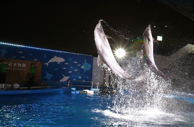 仙台うみの杜水族館のナイトイベント「シートピア」イルカ×ダンス×映像の没入型ショーを閉館後の館内で｜写真3