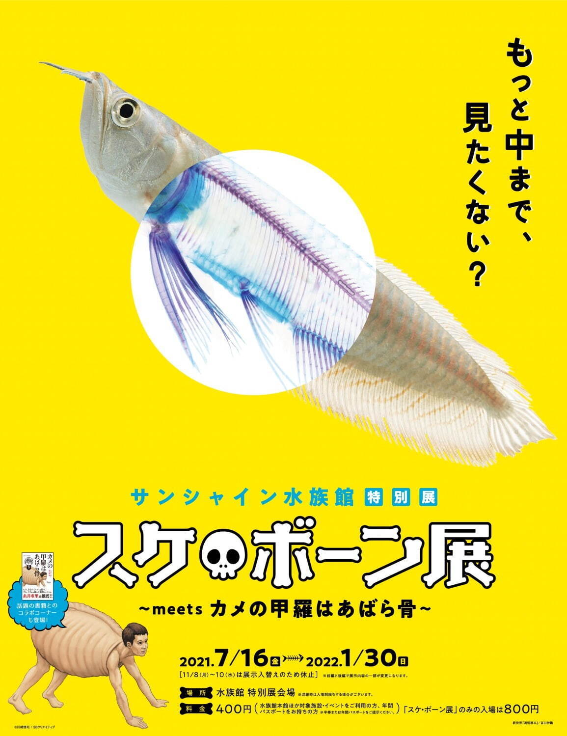 サンシャイン水族館“透明な生き物”主役の特別展「スケ・ボーン展」スケスケ体の骨に注目｜写真15