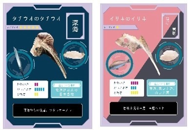 サンシャイン水族館“透明な生き物”主役の特別展「スケ・ボーン展」スケスケ体の骨に注目｜写真10