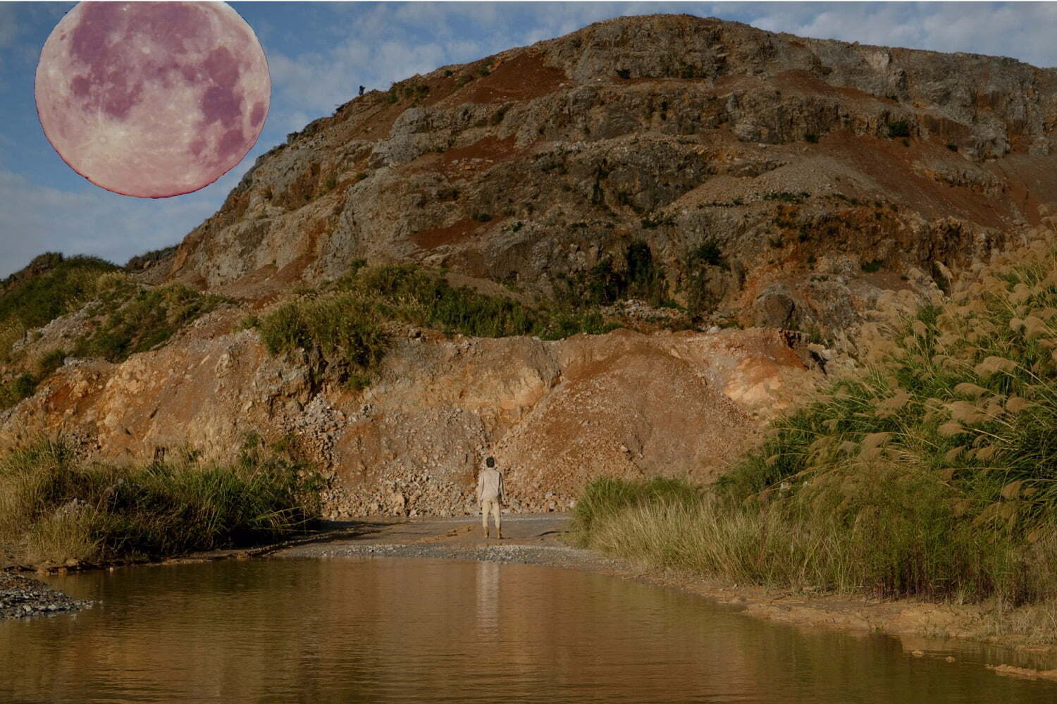 東京都写真美術館