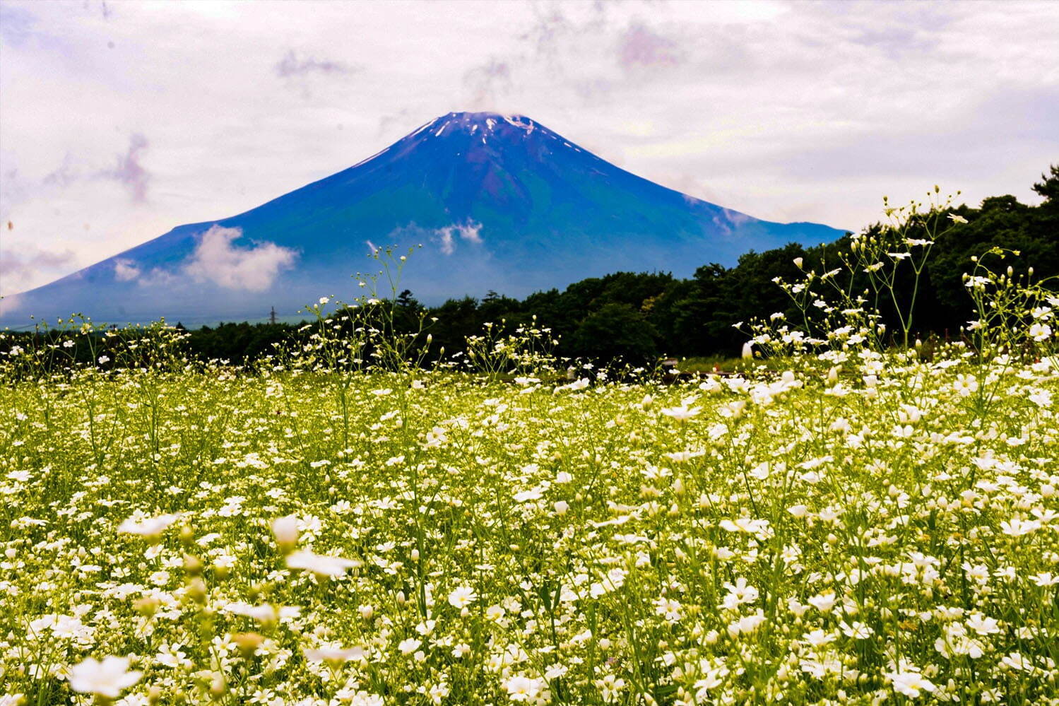 全室“富士山ビュー”山中湖近くにグランピング施設「ル・ニド」プライベート空間で楽しむ絶景BBQ｜写真7