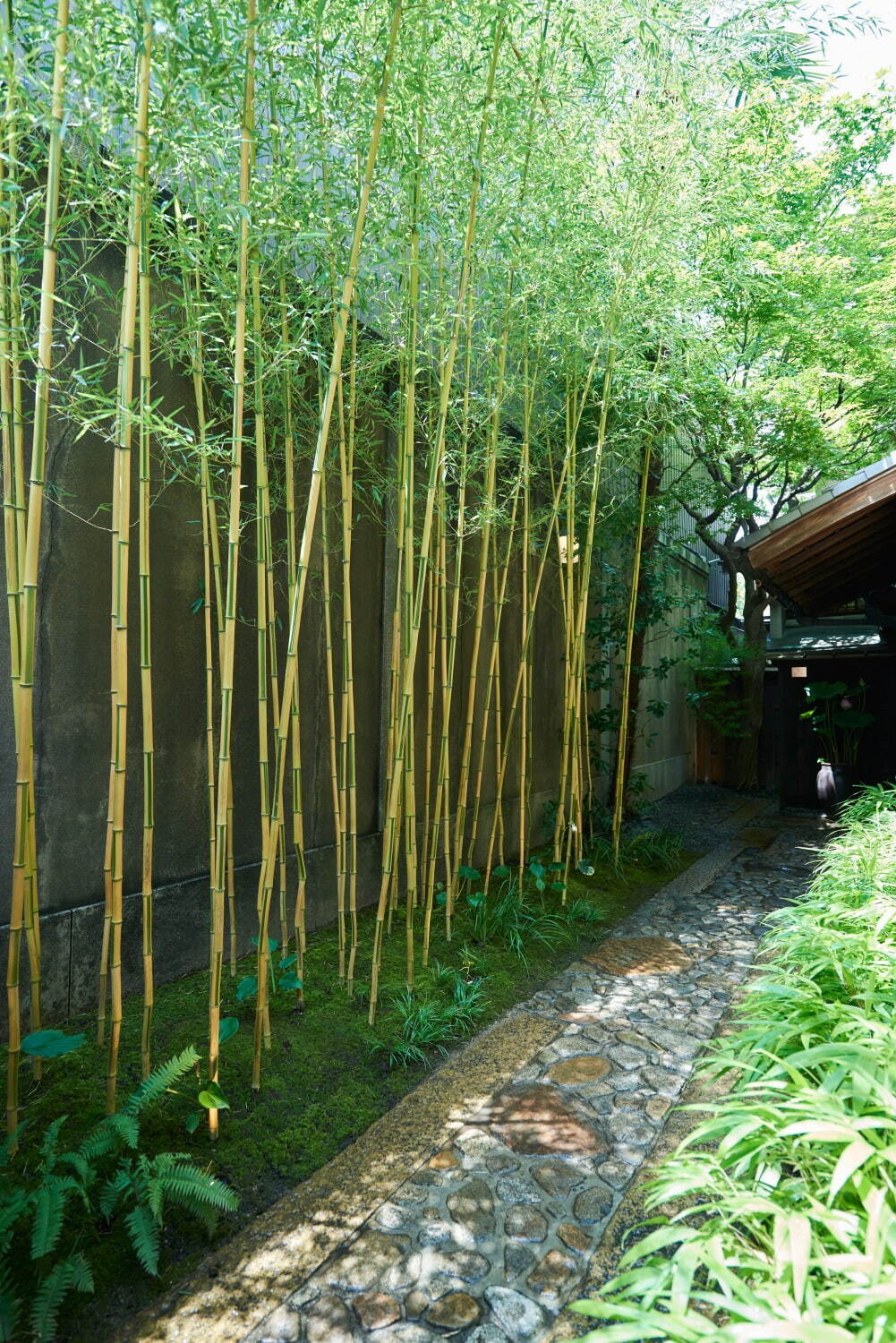 グッチが京都・旧川崎家住宅で“竹”テーマの体験型エキシビジョン、アーカイブ展示や特別茶室公開｜写真16