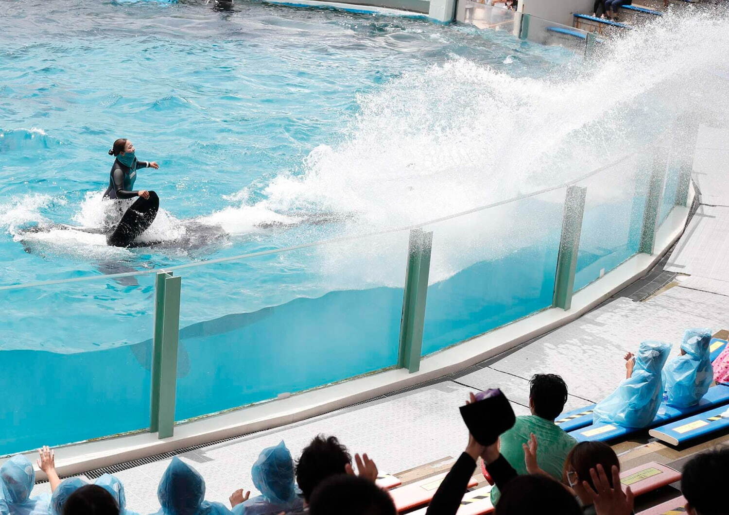 鴨川シーワールドの夏イベント イルカ シャチのパフォーマンスショーや夜の水族館巡り ファッションプレス