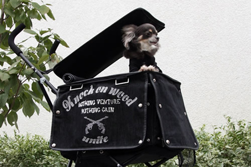 roarとDog Brand 299のコラボ第二段、ペット用カートが登場