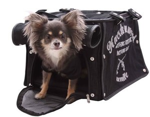 roarとDog Brand 299のコラボ第二段、ペット用カートが登場｜写真1