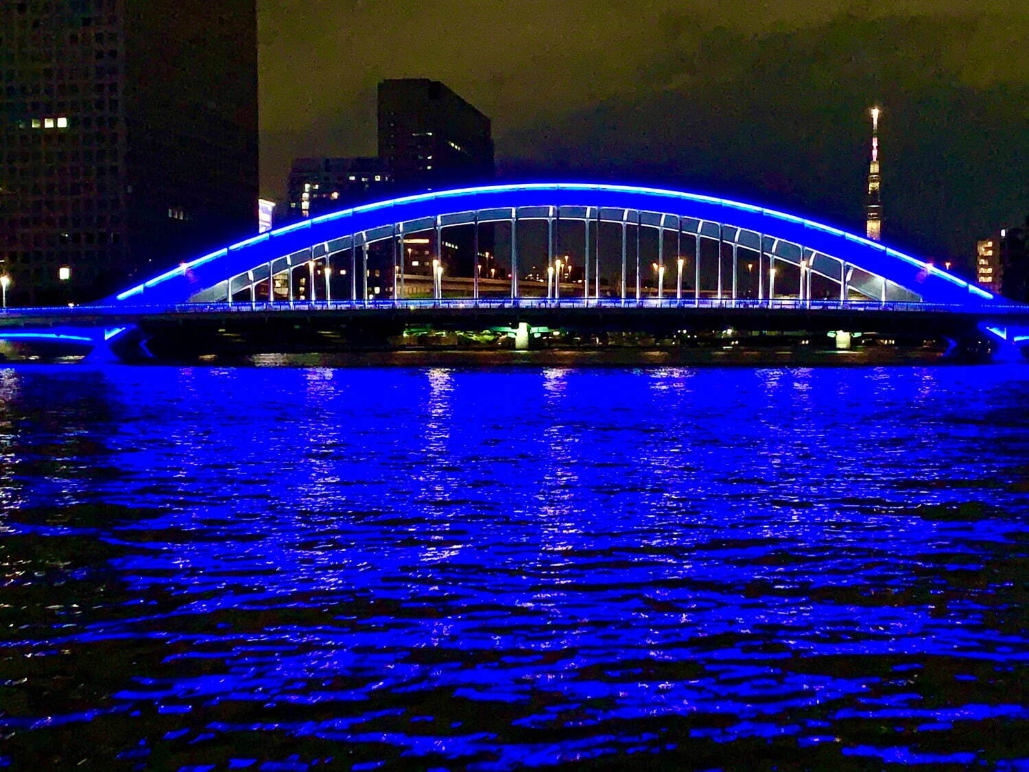 “星空×宇宙”がテーマの「宙フェスTOKYO 2021」日本橋で開催、星空観望会やお月見クルーズ｜写真24