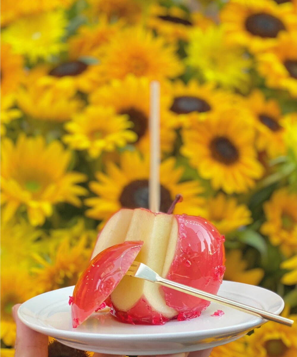 代官山キャンディーアップル(Candy apple) 代官山キャンディーアップル｜写真7