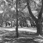 セリーヌ オム 2022年春夏コレクション - 多層性の眩き｜写真12