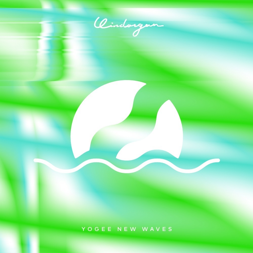 Yogee New Waves / WAVES アナログ レコード ヨギー邦楽 - 邦楽