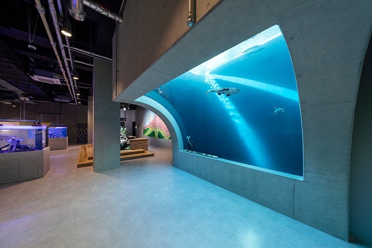 神戸ポートミュージアムの水族館「アトア」約100種類の魚や動物と出会う、巨大な球体水槽も｜写真7