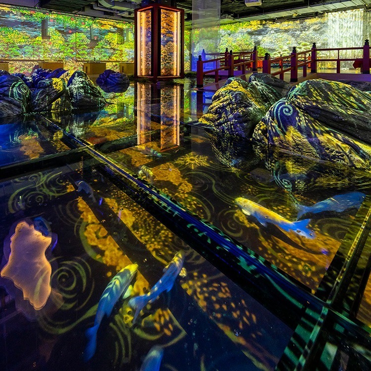 神戸ポートミュージアムの水族館「アトア」約100種類の魚や動物と出会う、巨大な球体水槽も｜写真3