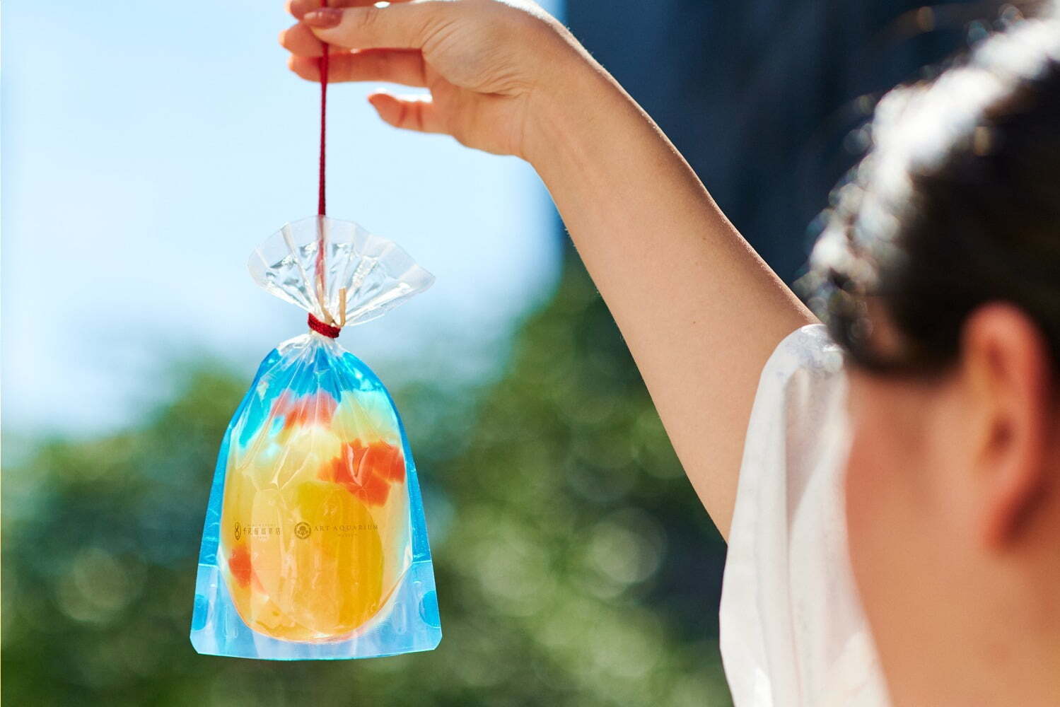 アクアリウム｜日本橋 千疋屋総本店の“金魚すくい”フルーツポンチ、東京・アートアクアリウム美術館で限定発売