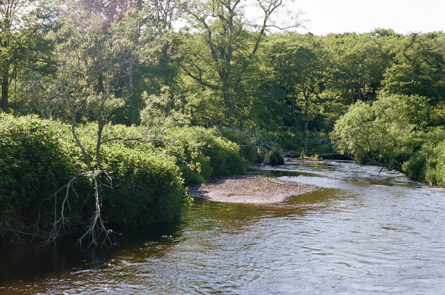 コモリ 2021-22年秋冬<span>コレクション</span> - 写真36