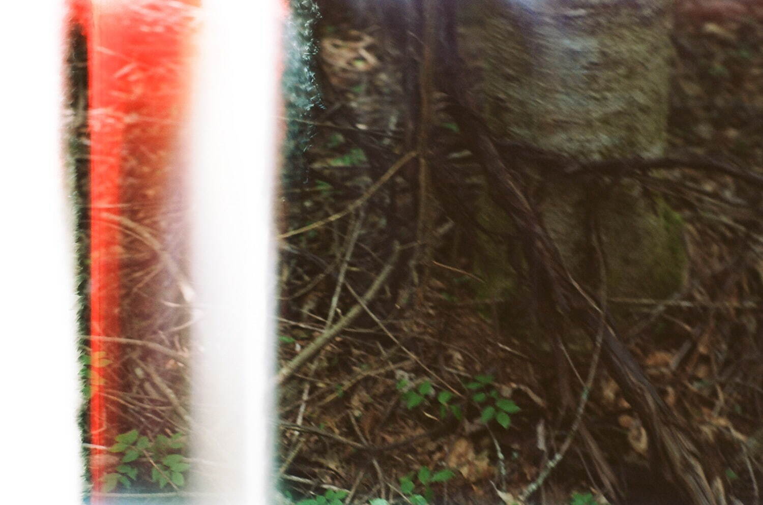 コモリ 2021-22年秋冬<span>コレクション</span> - 写真40