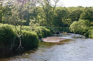 コモリ(COMOLI) 2021-22年秋冬メンズコレクション  - 写真36