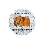 『はらぺこあおむし』エリック・カールの世界観を楽しむ“体験型”新施設、二子玉川ライズ S.C.に｜写真5