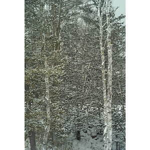 プロダクトトゥエルブ(Product Twelve) 2021-22年秋冬メンズコレクション  - 写真8