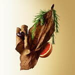 リナーリ(LINARI) 高級アロマディフューザー｜写真5