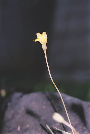 アンドワンダー(and wander) 2021-22年秋冬ウィメンズ&メンズコレクション  - 写真57