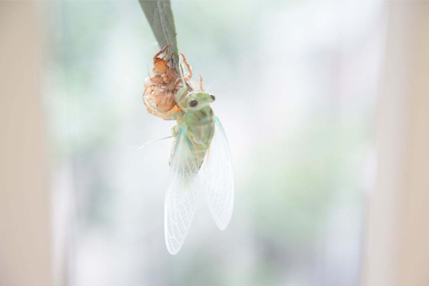 東京都渋谷公園通りギャラリー「語りの複数性」東京都渋谷公園通りギャラリーで -「語り」