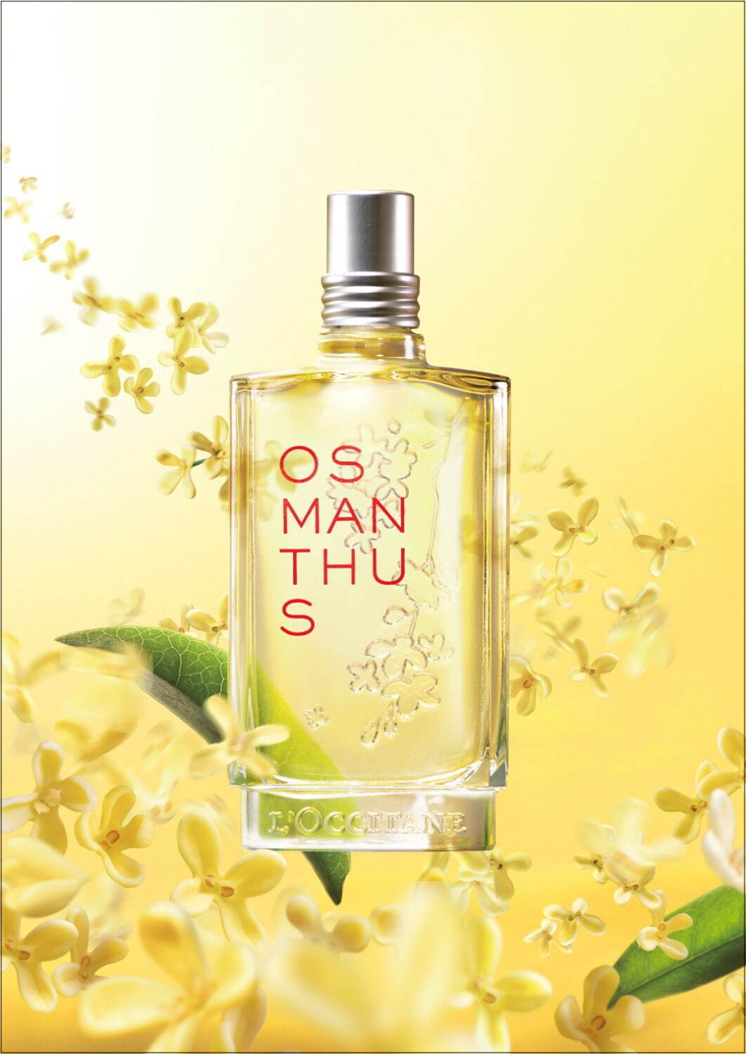 ロクシタン(L'OCCITANE) オスマンサス｜写真2