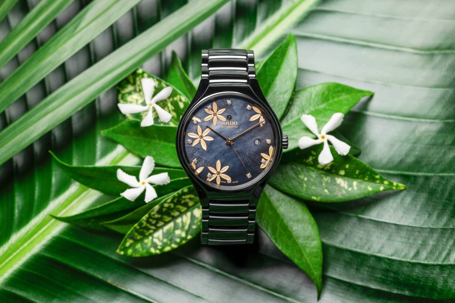 ジャスミンが咲く”ラドーの新作腕時計、鮮やかなターコイズと神秘的な