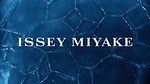 イッセイ ミヤケ(ISSEY MIYAKE) フュージョンドゥ イッセイ｜写真4