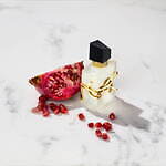 イヴ・サンローラン(Yves Saint Laurent) リブレ｜写真5