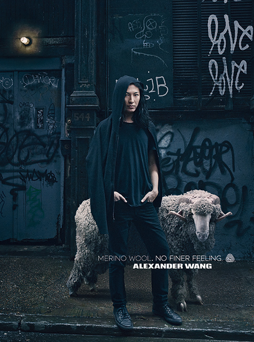 Alexander Wang / Australian merino コート