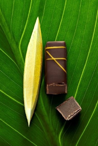 ラ・メゾン・デュ・ショコラ(LA MAISON DU CHOCOLAT) ガナッシュ ビーガン｜写真4