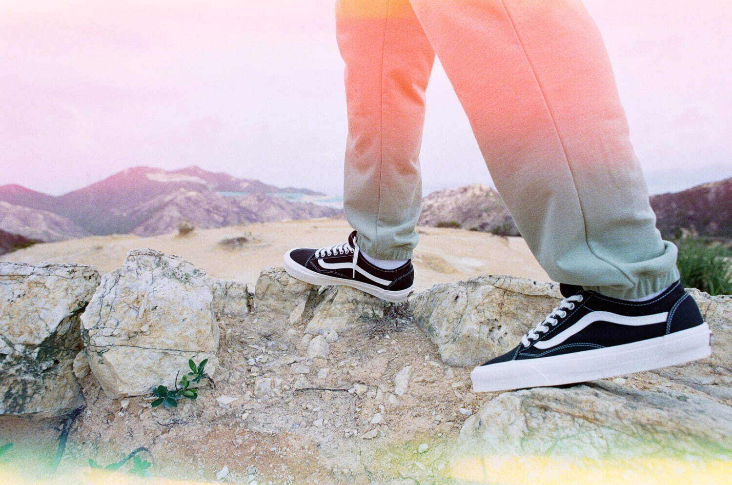 ヴァンズ(Vans) オールドスクール｜写真23