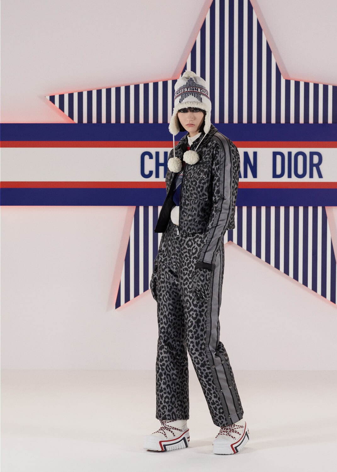 ディオール(DIOR) ディオールアルプス ディオール オブリーク｜写真106