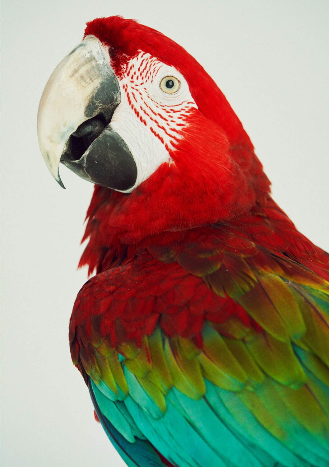 サバイ(saby) 2022年春夏メンズコレクション  - 写真7